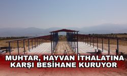 Muhtar, hayvan ithalatına karşı besihane kuruyor