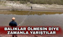 Balıklar ölmesin diye zamanla yarıştılar