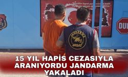 15 yıl hapis cezasıyla aranıyordu jandarma yakaladı