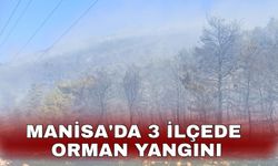 Manisa'da 3 ilçede orman yangını