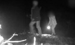 3 kaçak avcı gece avında fotokapanla yakalandı