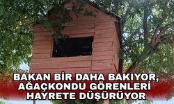 Bakan bir daha bakıyor, ağaçkondu görenleri hayrete düşürüyor
