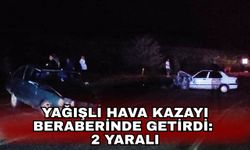 Yağışlı hava kazayı beraberinde getirdi: 2 yaralı