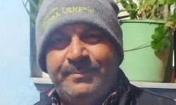 Domuz sürüsüne çarpan motosiklet sürücüsü yaşamını yitirdi