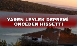 Yaren Leylek depremi önceden hissetti