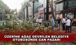 Üzerine ağaç devrilen belediye otobüsünde can pazarı