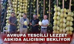 Avrupa tescilli lezzet askıda alıcısını bekliyor