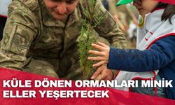 Küle dönen ormanları minik eller yeşertecek