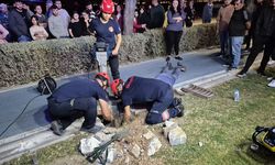 Mazgala düşen kayıp köpek ve yangında mahsur kalan kediler itfaiyenin çabasıyla kurtarıldı