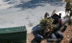 Çevreyi kirletenler belediye kamerasına yakalandı