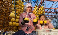 Alaşehir'de ilk kez 'Cennet Hurması Festivali' düzenlenecek