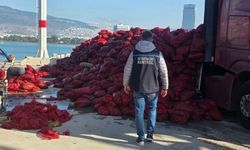 27 ton belgesiz kara midyesi ele geçirildi