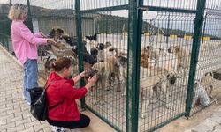 Alaşehir'de 30 dönümlük doğal yaşam alanı açıldı