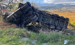 Alaşehir'de süt tankeri üzüm bağına uçtu