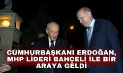 Cumhurbaşkanı Erdoğan, MHP Lideri Bahçeli ile bir araya geldi