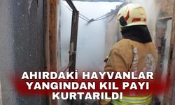 Ahırdaki hayvanlar yangından kıl payı kurtarıldı