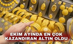 Ekim ayında en çok kazandıran altın oldu