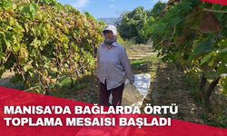 Manisa’da bağlarda örtü toplama mesaisi başladı