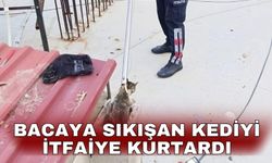 Bacaya sıkışan kediyi itfaiye kurtardı