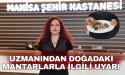 Uzmanından doğadaki mantarlarla ilgili uyarı