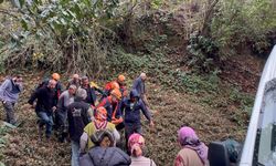 Kestiği ağacın çarptığı vatandaş uçuruma yuvarlandı