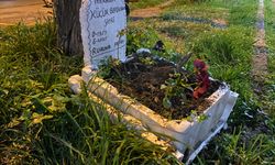 Ölen muhabbet kuşları için mini mezar yaptılar