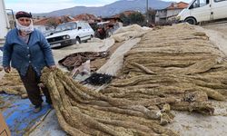 Selendi’de tütünde hasat bitti, kolileme mesaisi başladı