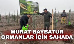 Murat Baybatur ormanlar için sahada