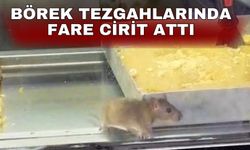 Börek tezgahlarında fare cirit attı