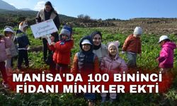 Manisa'da 100 bininci fidanı minikler ekti