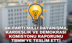 AK Parti Milli Dayanışma, kardeşlik ve Demokrasi Komisyonu raporunu TBMM’ye teslim etti