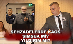Yıldırım mı? Şimşek mi?