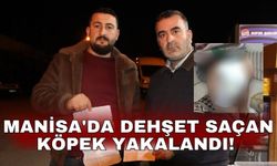 Manisa'da dehşet saçan köpek yakalandı!