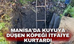 Manisa'da kuyuya düşen köpeği itfaiye kurtardı