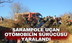 Şarampole uçan otomobilin sürücüsü yaralandı