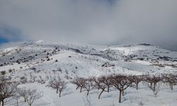 Kar görmeyen Alaşehirli çocuklar karla buluşacak