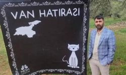 İnşaat şantiyesinde acı son: İşçi hayatını kaybetti