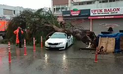 İzmir’de sağanak ve fırtına hayatı felç etti