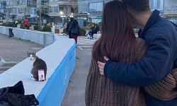 İlginç fotoğraf çözümü: Tripod yerine kedi kullandılar