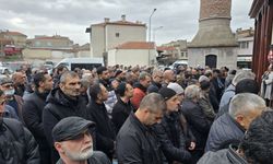 Kırkağaç'ın tarihi çınarı 112 yaşında hayatını kaybetti