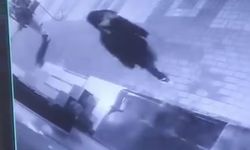 Otomobillerin aynalarını kırıp camlarını yumrukladılar, hiçbir şey olmamış gibi gittiler