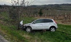 Denizli'de  aynı yolda ikinci kaza, otomobil üzüm bağına uçtu