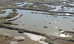 İzmir'de yağışlar barajlara nefes aldırdı