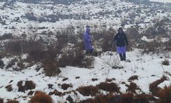 Diyarbakır'da kayıp kadından 8 gündür haber alınamıyor