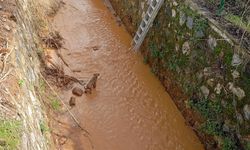 Kanala düşen köpeği itfaiye ekipleri kurtardı