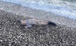 İzmir’de deniz kıyısında çocuk cesedi