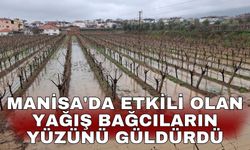 Manisa'da etkili olan yağış bağcıların yüzünü güldürdü