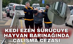 Kedi ezen sürücüye hayvan barınağında çalışma cezası