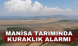 Manisa tarımında kuraklık alarmı