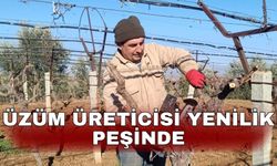 Üzüm üreticisi yenilik peşinde